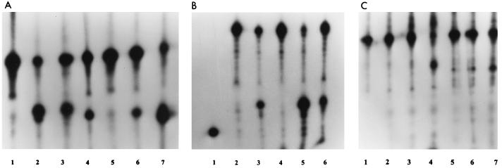 FIG. 8