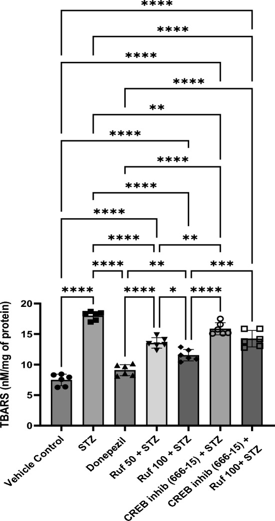 Fig. 6