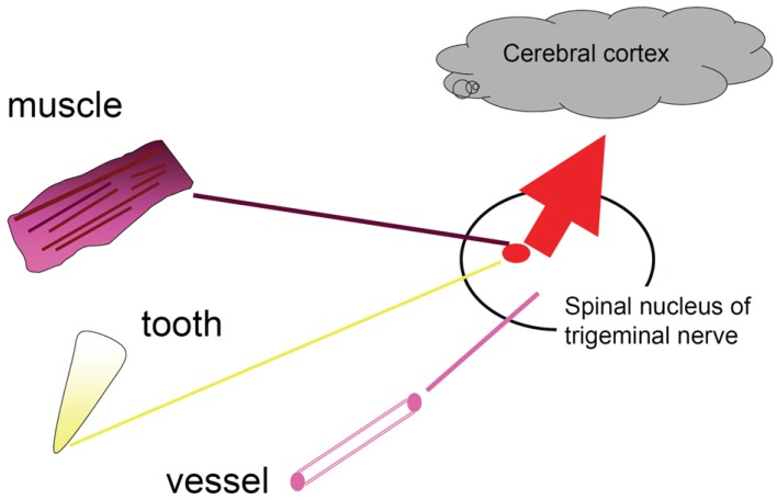 Fig. 9