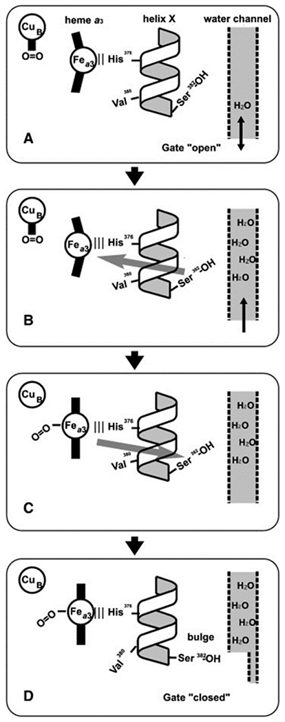 Figure 7.