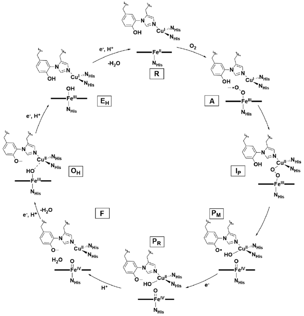 Scheme 2.