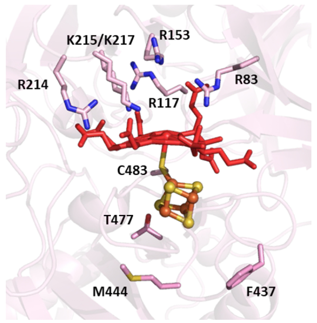 Figure 28.