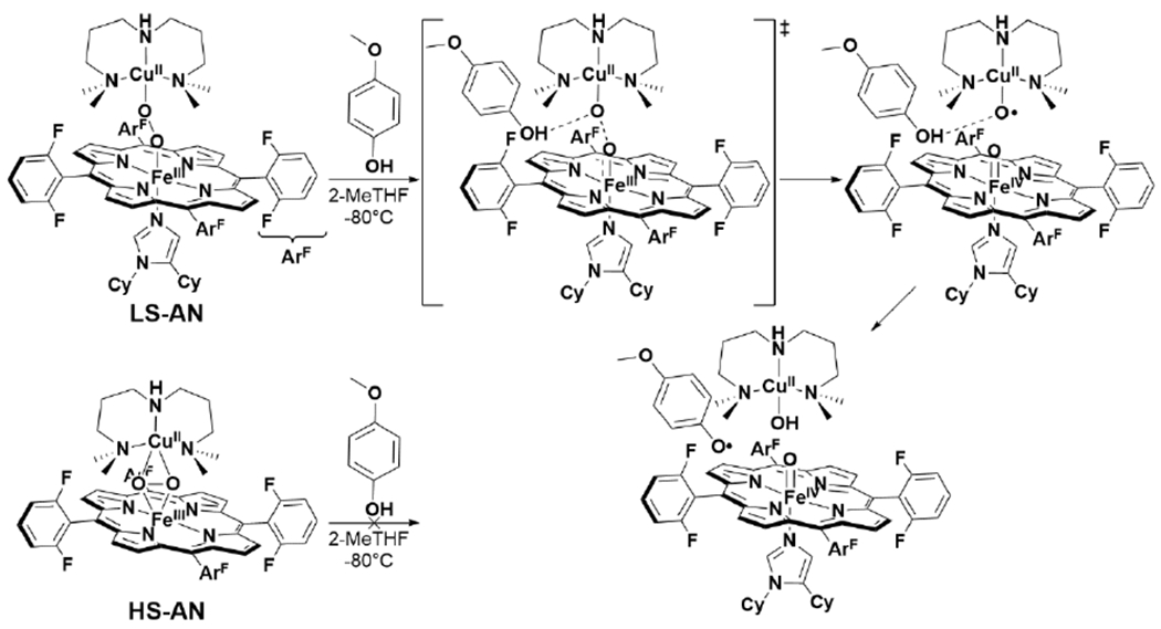 Scheme 12.