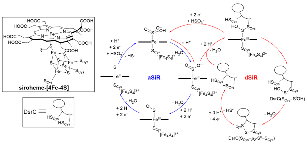 Scheme 30.