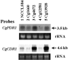 FIG. 6.