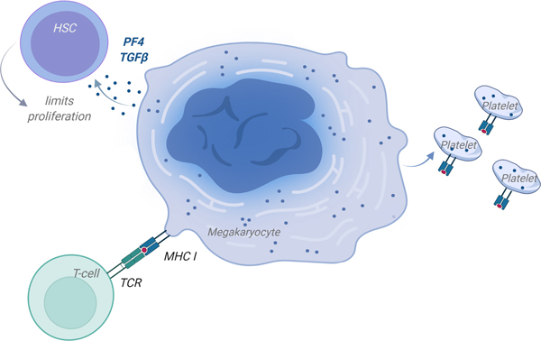 Figure 6: