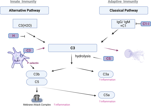 Figure 3: