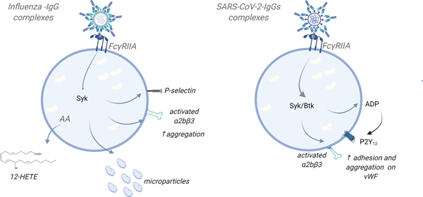 Figure 4: