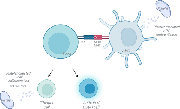 Figure 5: