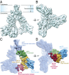 Fig. 1.