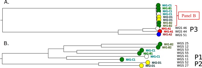 FIG 3