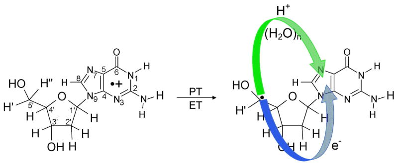 Scheme 1