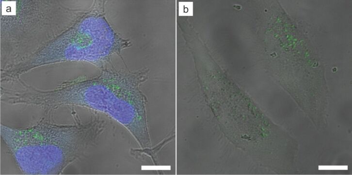 Figure 14