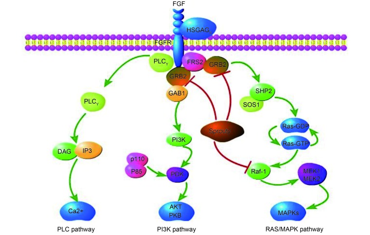 Figure1