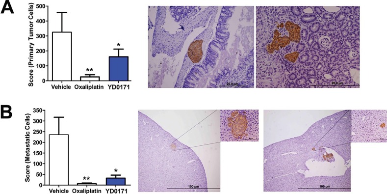 Figure 18.