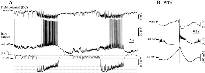 Fig. 8.