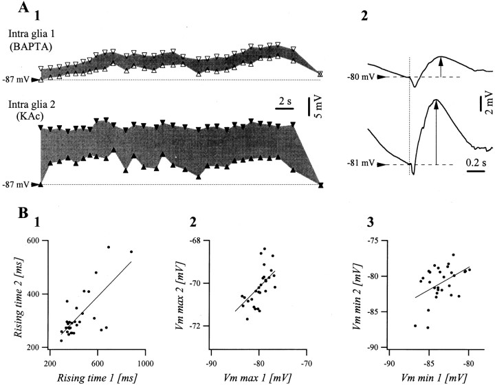 Fig. 10.