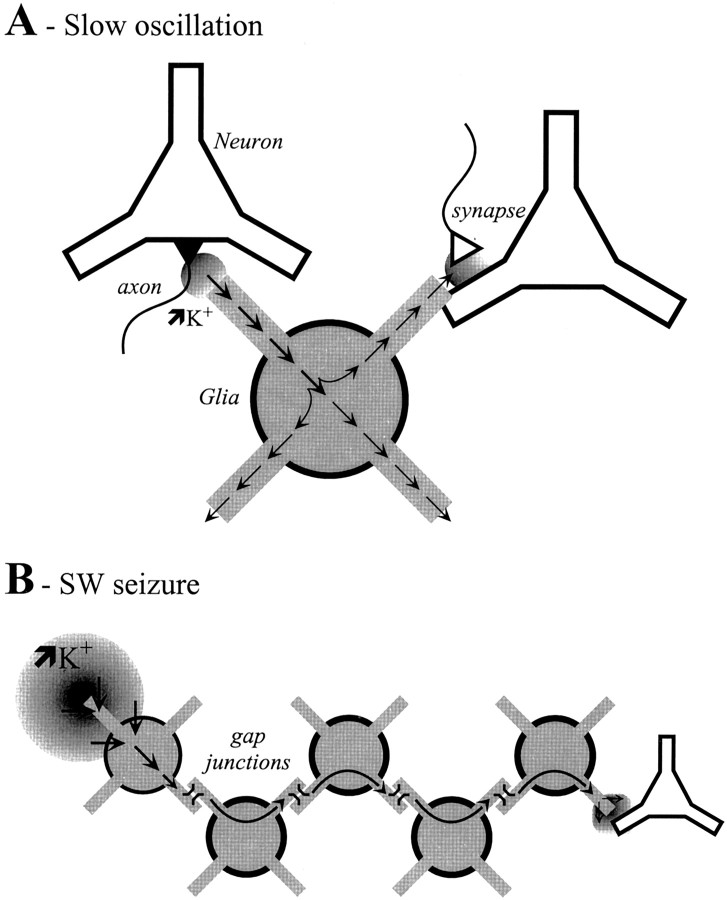 Fig. 11.