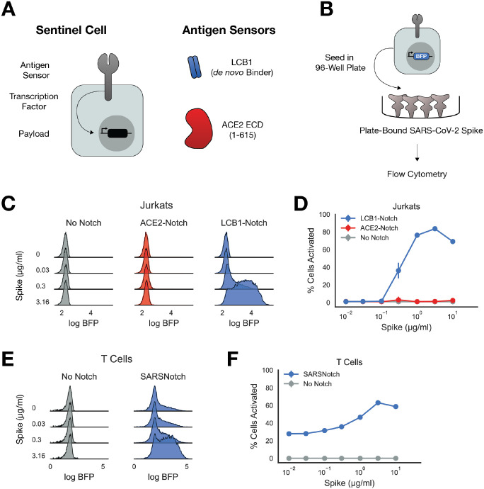 Figure 1: