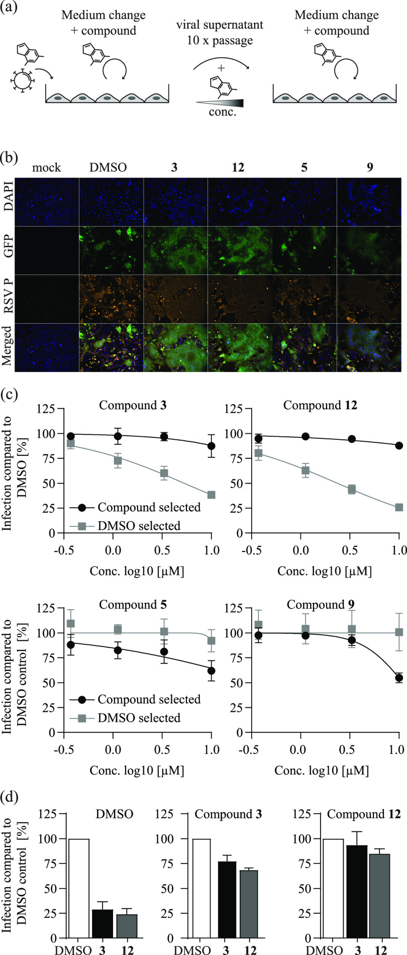 FIG 3