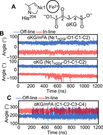 Fig. 4