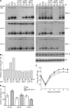 FIG. 5.