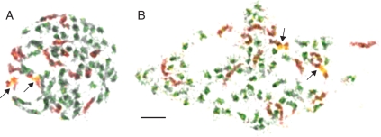 Fig. 3.