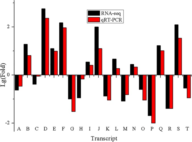 Fig 6