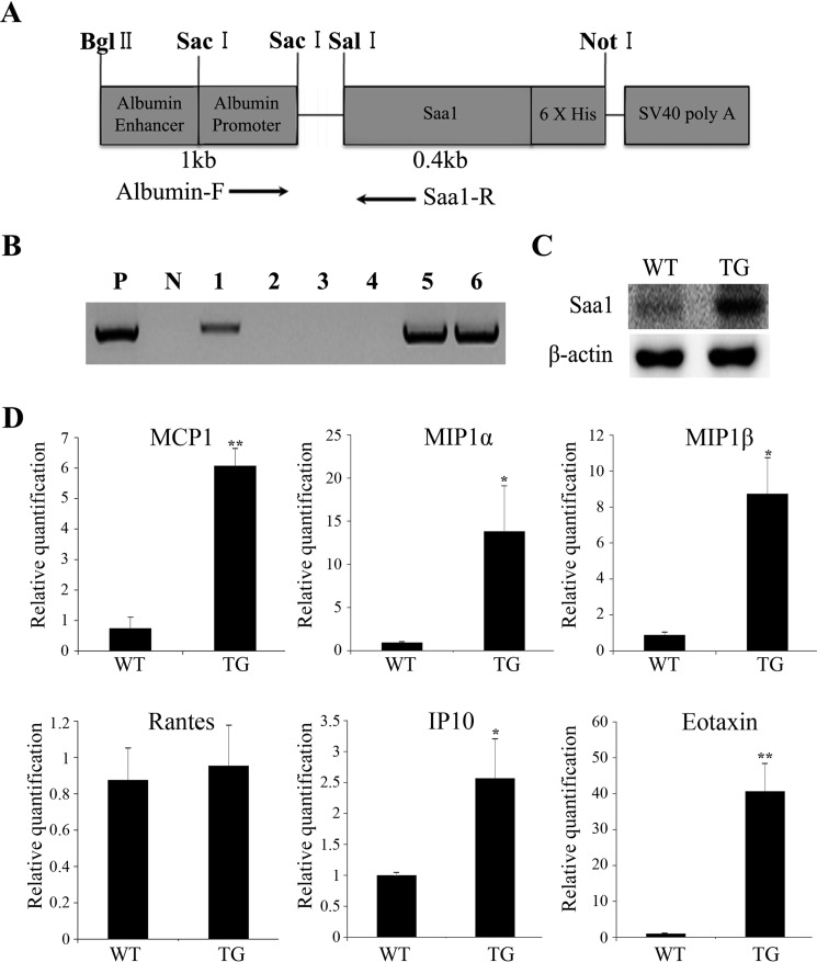 FIGURE 1.