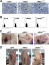 FIG 6