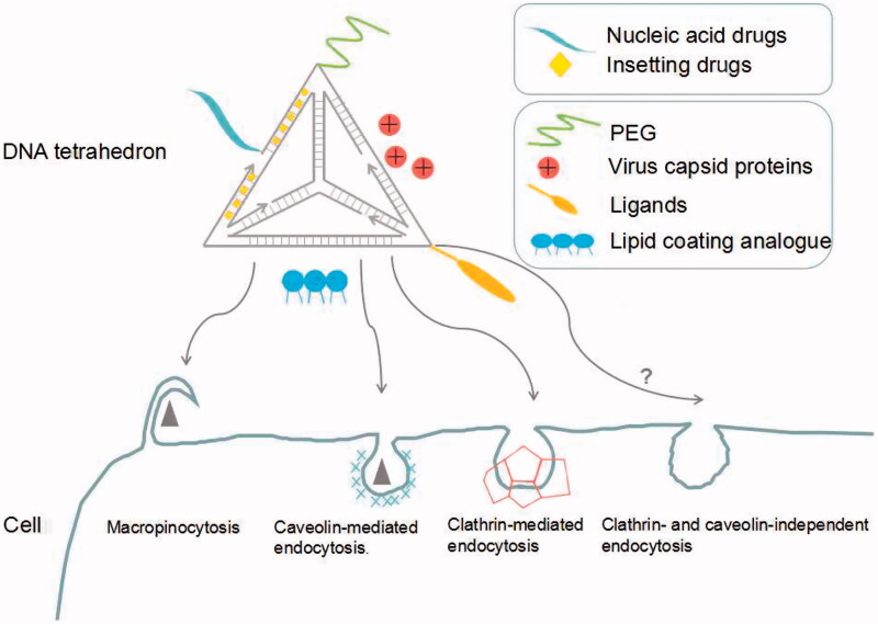 Figure 1.