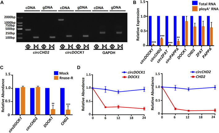 FIGURE 4