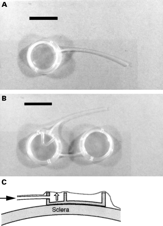 Figure 1  