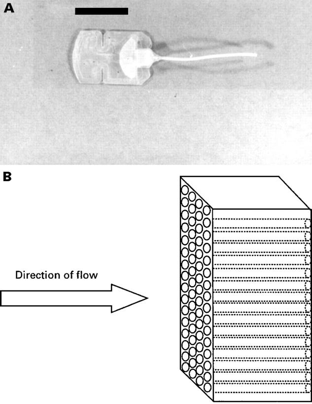 Figure 5  