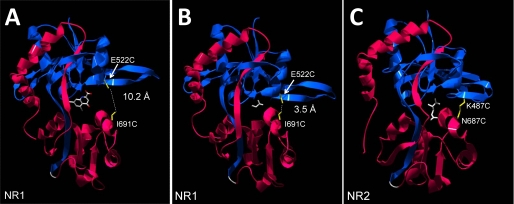 FIGURE 1.