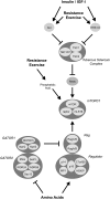 FIGURE 1.