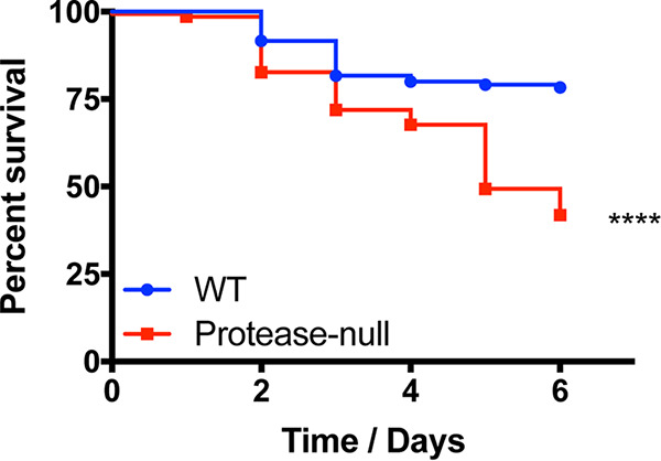 FIG 1