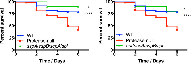 FIG 3