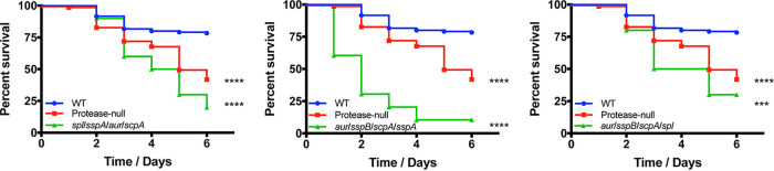 FIG 2