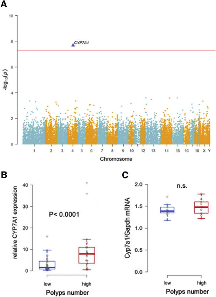 Supplementary Figure 1