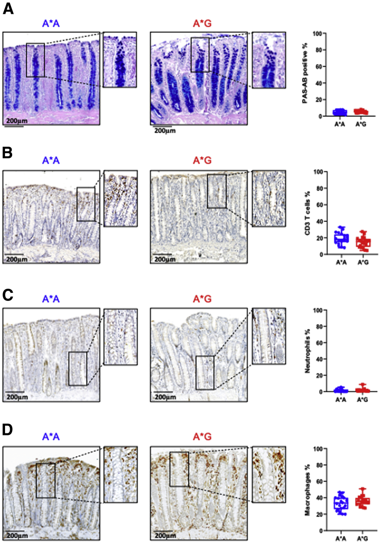 Supplementary Figure 3