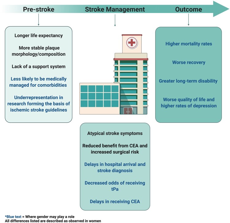 Graphical Abstract