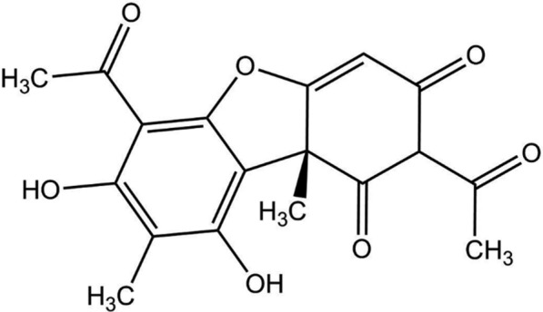 Fig. 1