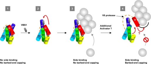 FIGURE 7.