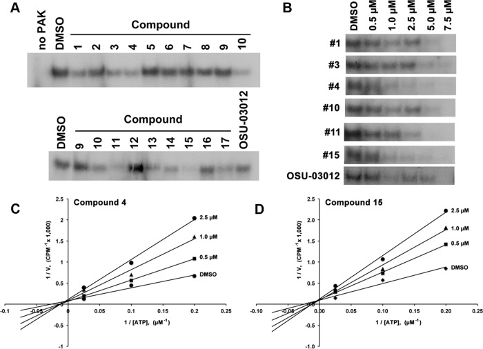 Figure 2.