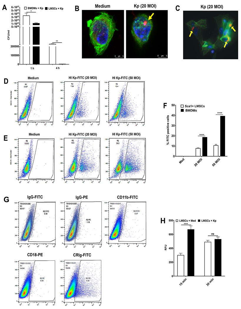 FIGURE 4.