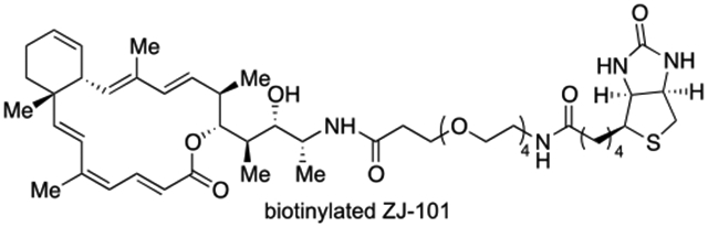 graphic file with name nihms-1907975-f0001.jpg