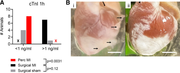 Figure 11.