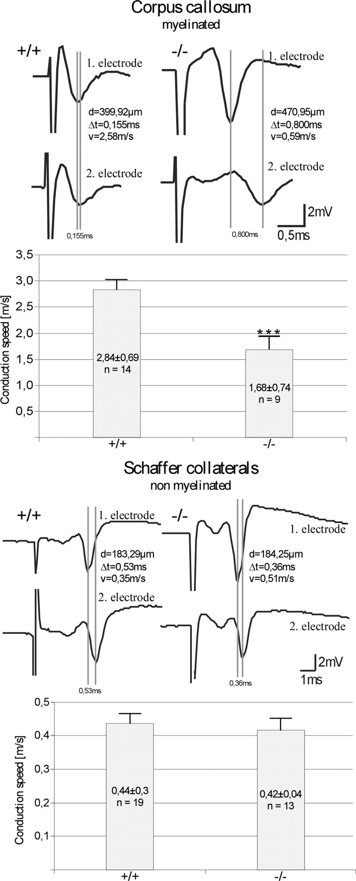 Figure 5.