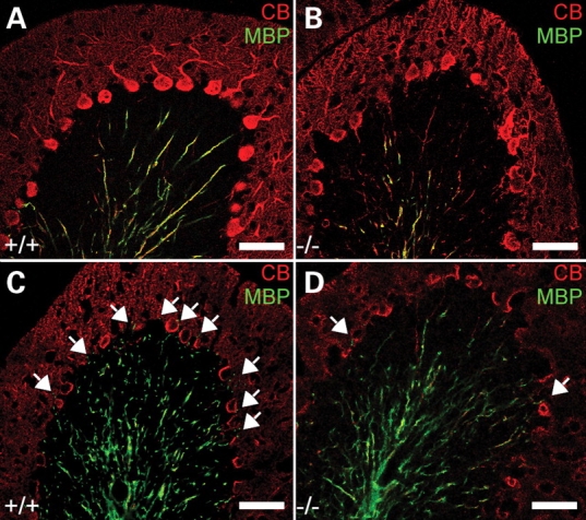 Figure 3.